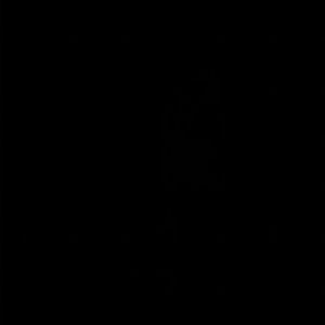 Meet your Posher, Shane